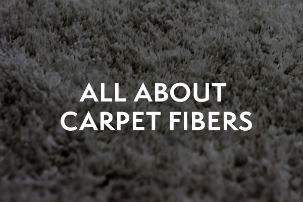 Comparing Nylon and Polyester Carpet Fibers